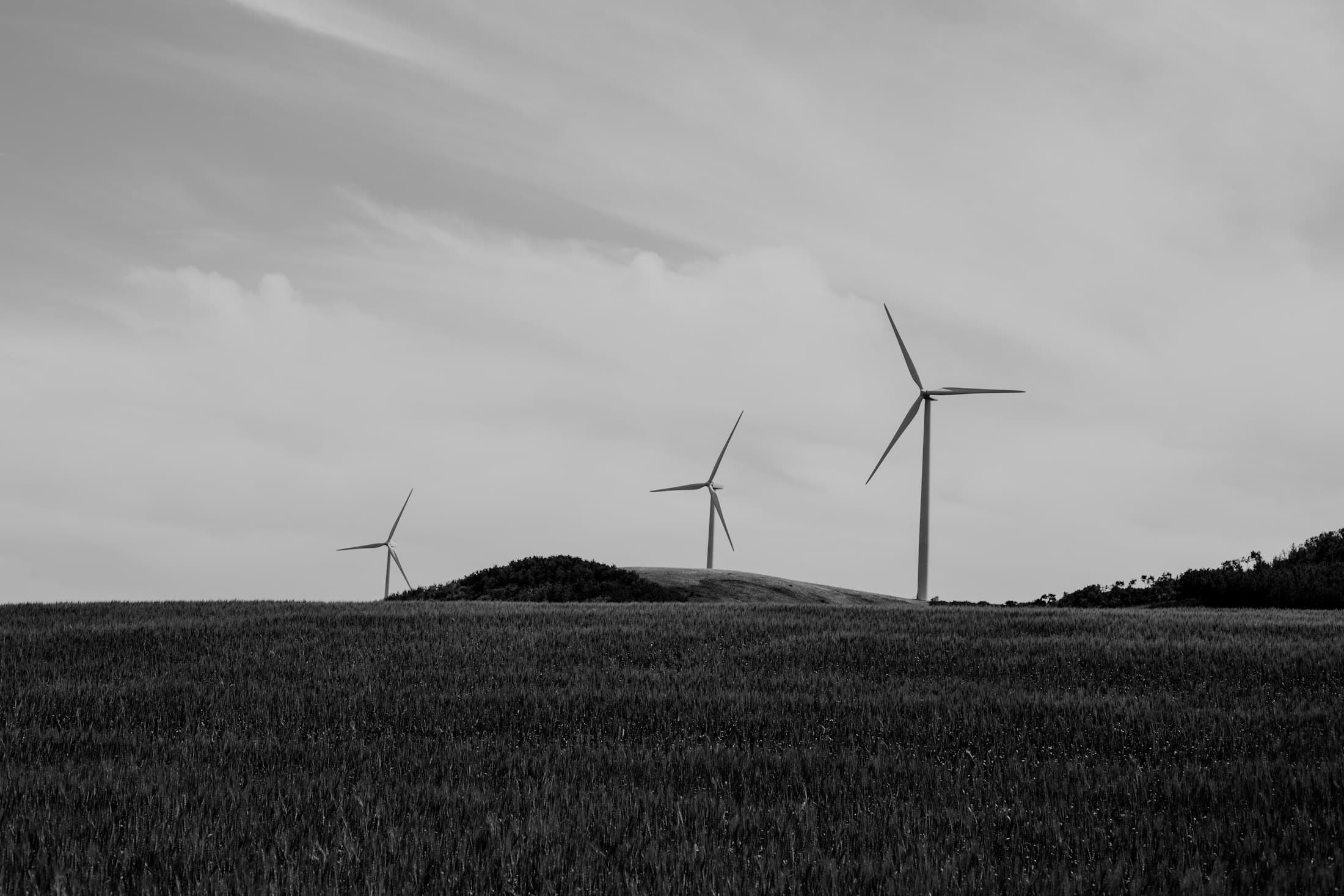 Wind turbines standing in an open field